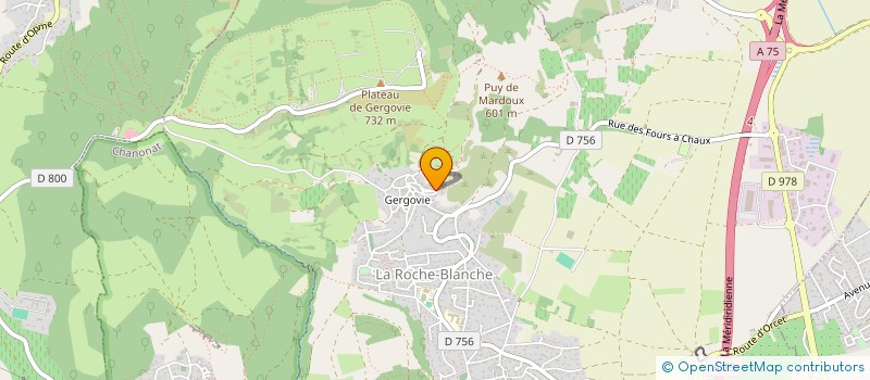 localisation de l'entreprise MONSIEUR MICHEL POUGET  LA ROCHE-BLANCHE