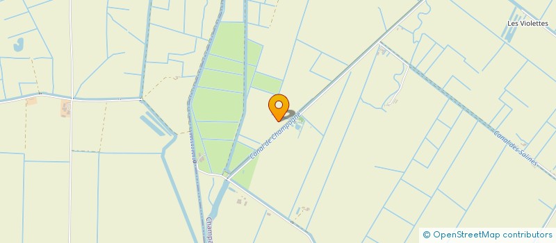 localisation de l'entreprise MONSIEUR MICHEL PRIOUZEAU  CHAMPAGNE-LES-MARAIS