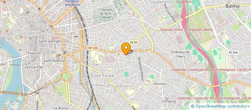 localisation de l'entreprise MONSIEUR MICHEL PUJOL à TOULOUSE