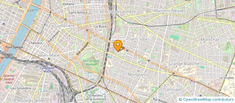 localisation de l'entreprise MONSIEUR MICHEL RADISSON  LYON