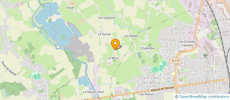 localisation de l'entreprise MONSIEUR MICHEL RAFFIN à SAINT-DENIS-LES-BOURG