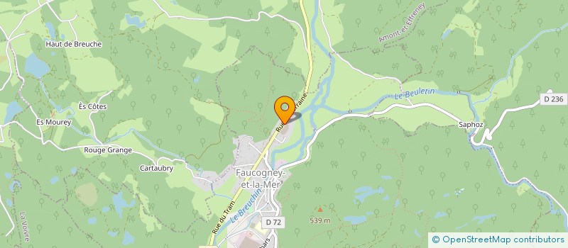 localisation de l'entreprise MONSIEUR MICHEL RAMEAU  FAUCOGNEY-ET-LA-MER