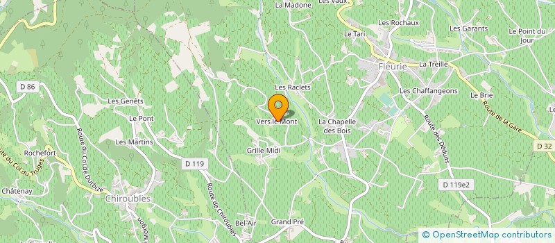 localisation de l'entreprise MONSIEUR MICHEL RAMPON à FLEURIE