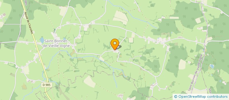 localisation de l'entreprise MONSIEUR MICHEL RAVIER  ST BONNET-DE-VIEILLE-VIGNE
