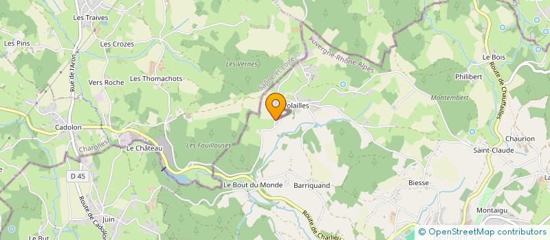 localisation de l'entreprise MONSIEUR MICHEL RECHAGNIEUX  BELMONT-DE-LA-LOIRE