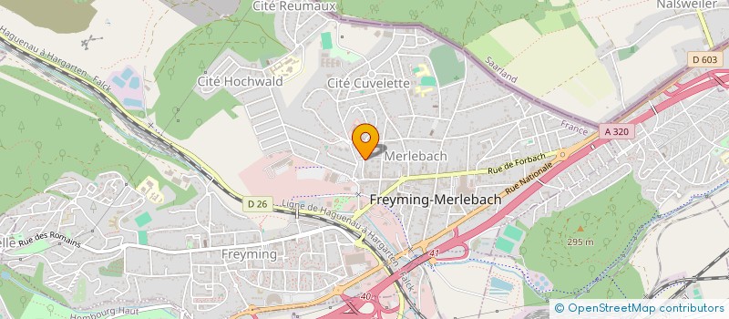 localisation de l'entreprise MONSIEUR MICHEL REISDORF  FREYMING-MERLEBACH