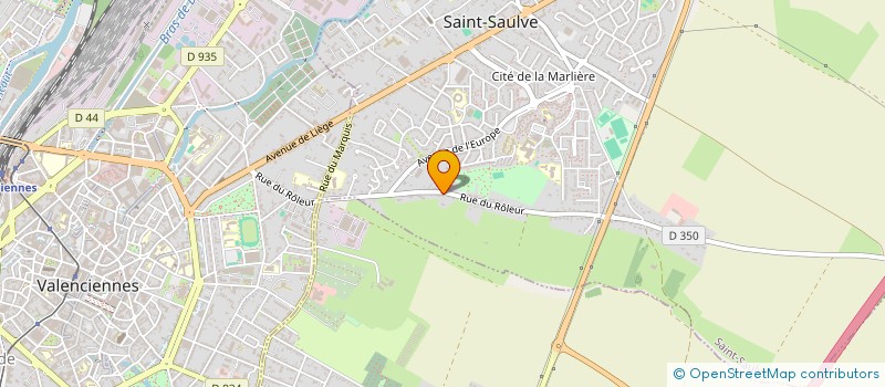 localisation de l'entreprise MONSIEUR MICHEL REMY  SAINT-SAULVE