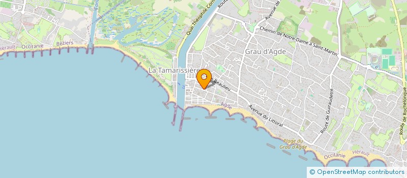 localisation de l'entreprise MONSIEUR MICHEL REQUI  AGDE