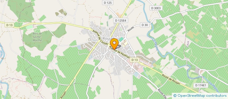 localisation de l'entreprise MONSIEUR MICHEL REYNALDO  ROUJAN