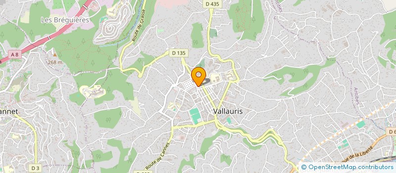 localisation de l'entreprise MONSIEUR MICHEL RIBERO à VALLAURIS
