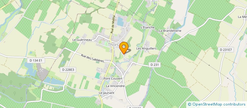 localisation de l'entreprise MONSIEUR MICHEL RIMAUDIERE  THORS