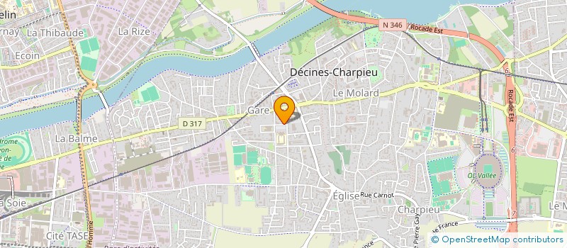 localisation de l'entreprise MONSIEUR MICHEL RIVIERE  DECINES-CHARPIEU