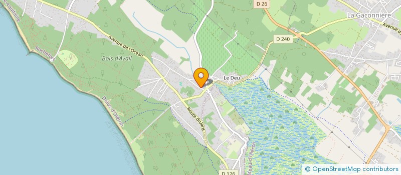localisation de l'entreprise MONSIEUR MICHEL ROBERT à DOLUS-D'OLERON