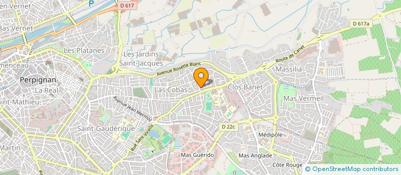 localisation de l'entreprise MONSIEUR MICHEL ROCHE  PERPIGNAN