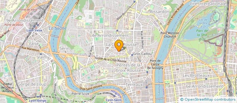 localisation de l'entreprise MONSIEUR MICHEL ROGER  LYON