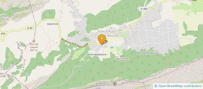 localisation de l'entreprise MONSIEUR MICHEL ROGGI  PLAN-D'AUPS-SAINTE-BAUME