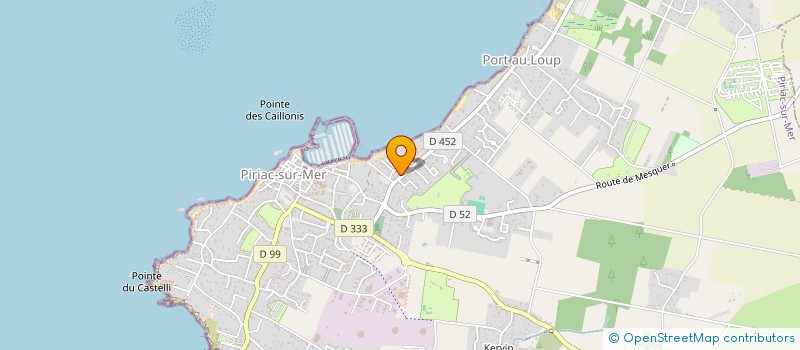 localisation de l'entreprise MONSIEUR MICHEL ROUILLE à PIRIAC-SUR-MER