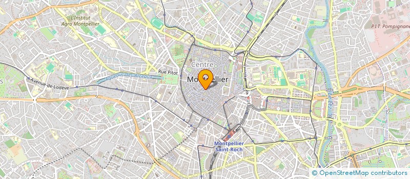 localisation de l'entreprise MONSIEUR MICHEL ROUVIERE à MONTPELLIER