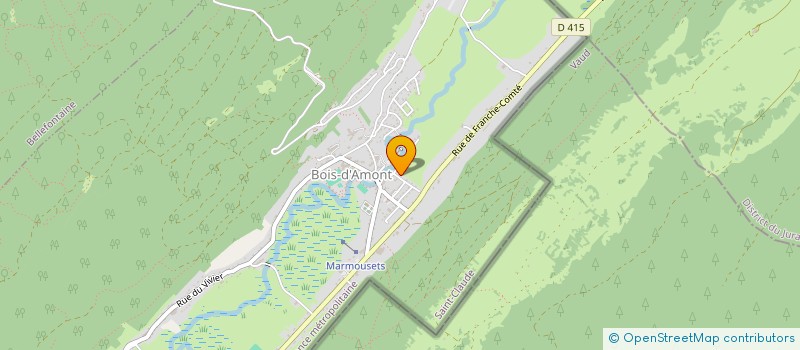 localisation de l'entreprise MONSIEUR MICHEL ROYDOR  BOIS-D'AMONT