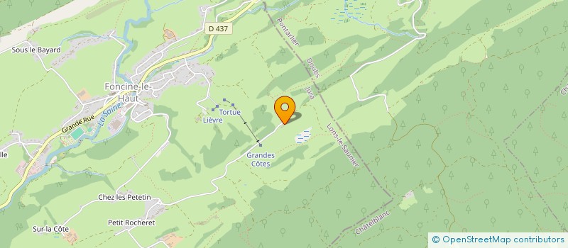 localisation de l'entreprise MONSIEUR MICHEL ROYET  FONCINE-LE-HAUT