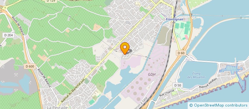 localisation de l'entreprise MONSIEUR MICHEL RUSIECKI à FRONTIGNAN