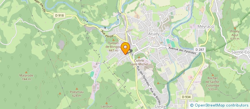 localisation de l'entreprise MONSIEUR MICHEL SALHARANG  ARUDY