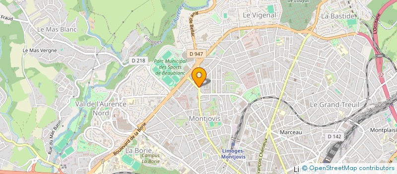 localisation de l'entreprise MONSIEUR MICHEL SAUMON à LIMOGES