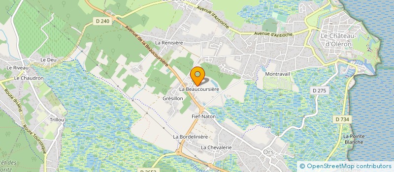 localisation de l'entreprise MONSIEUR MICHEL SEGUIN à LE CHATEAU-D'OLERON