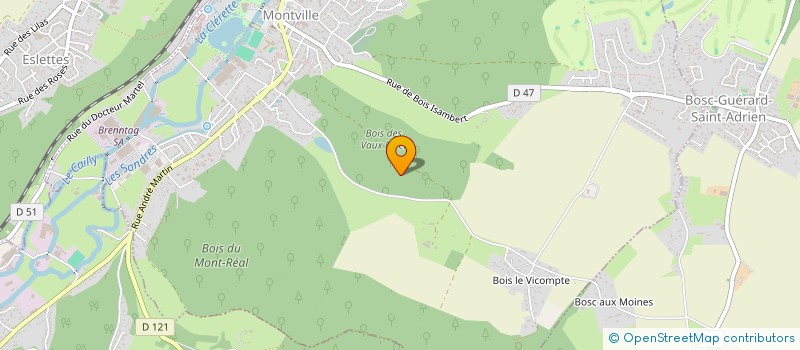 localisation de l'entreprise MONSIEUR MICHEL SENARD  MONTVILLE