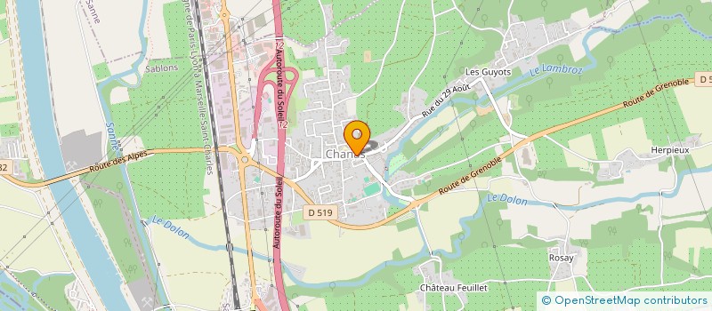 localisation de l'entreprise MONSIEUR MICHEL SICLER  CHANAS