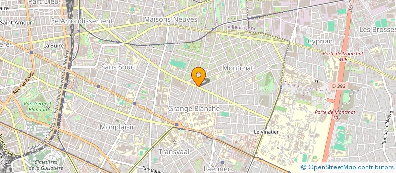 localisation de l'entreprise MONSIEUR MICHEL TACHON  LYON