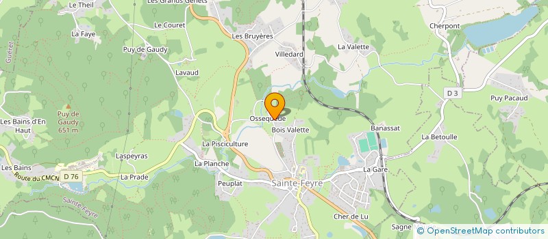 localisation de l'entreprise MONSIEUR MICHEL TESTE à SAINTE-FEYRE