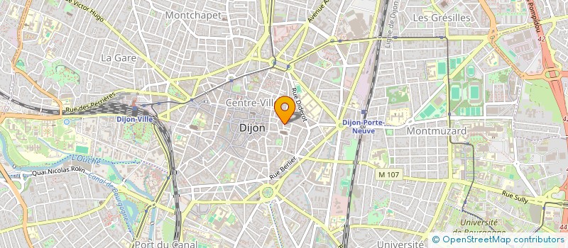 localisation de l'entreprise MONSIEUR MICHEL THIEBAUT à DIJON