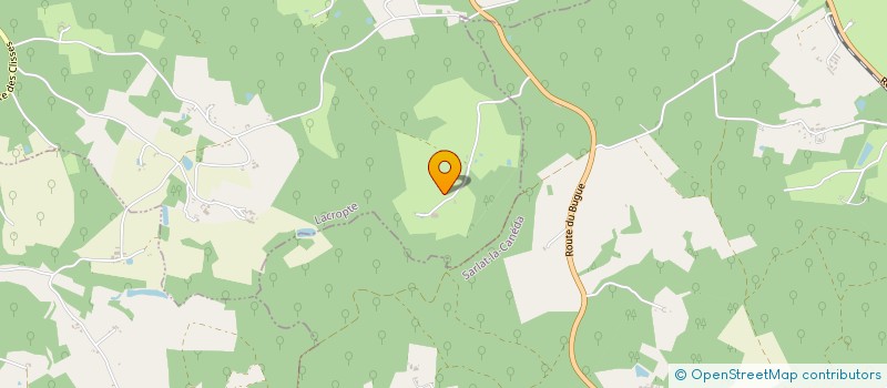 localisation de l'entreprise MONSIEUR MICHEL THOMAS  VEYRINES-DE-VERGT