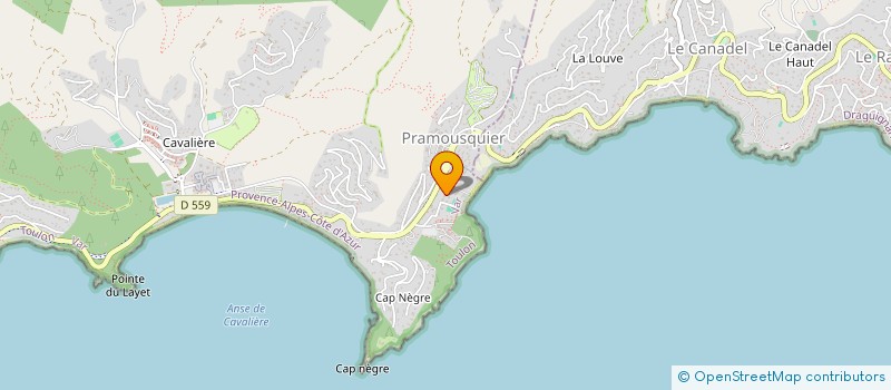 localisation de l'entreprise MONSIEUR MICHEL TOURDJMAN à LE LAVANDOU
