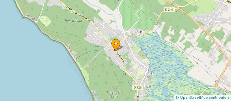 localisation de l'entreprise MONSIEUR MICHEL TUTARD  DOLUS-D'OLERON