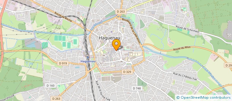 localisation de l'entreprise MONSIEUR MICHEL VERDI  HAGUENAU