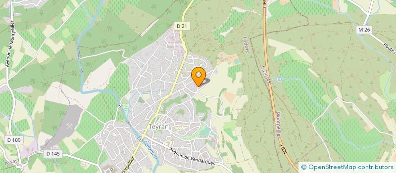localisation de l'entreprise MONSIEUR MICHEL VIDAL  TEYRAN