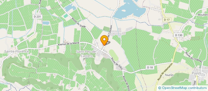 localisation de l'entreprise MONSIEUR MICHEL VIENNE  SAINT-PEY-DE-CASTETS