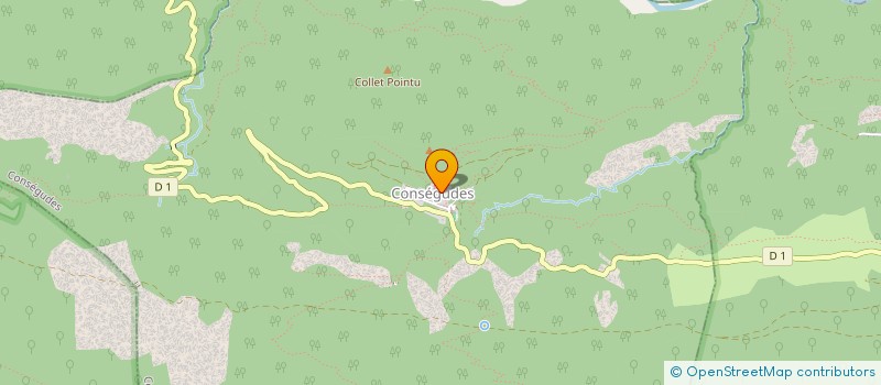 localisation de l'entreprise MONSIEUR MICHEL VIEULLE  CONSEGUDES