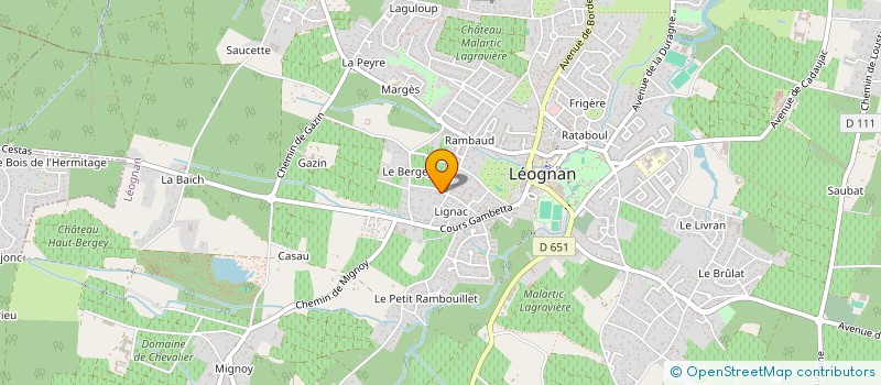 localisation de l'entreprise MONSIEUR MICHEL VINUESA à LEOGNAN