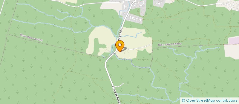 localisation de l'entreprise MONSIEUR MICHEL WEYL  RION-DES-LANDES