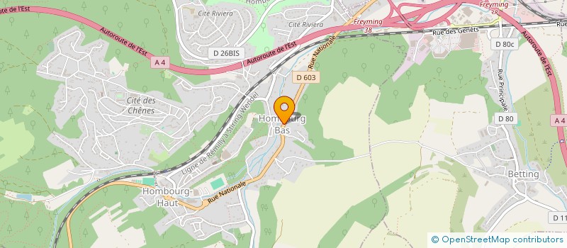 localisation de l'entreprise MONSIEUR MICHEL ZEHNACKER à HOMBOURG-HAUT