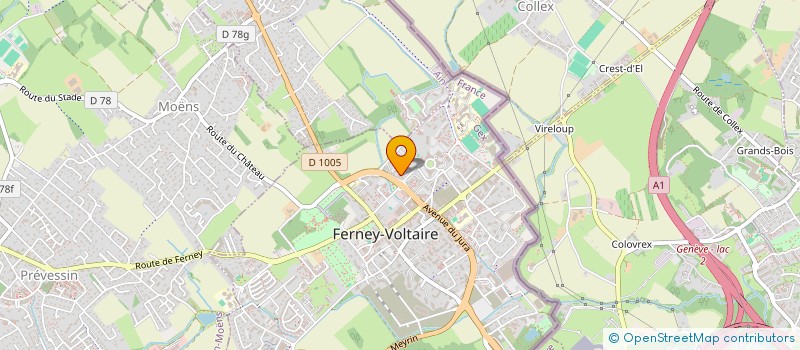 localisation de l'entreprise MONSIEUR MICHELE CORVINO à FERNEY-VOLTAIRE