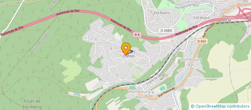 localisation de l'entreprise MONSIEUR MICKAEL ADELER  HOMBOURG HAUT