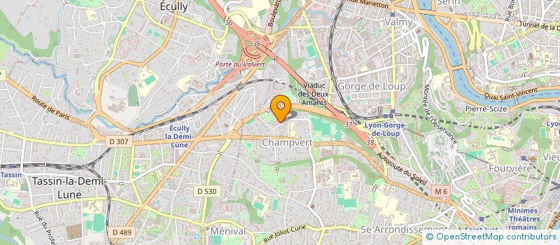 localisation de l'entreprise MONSIEUR MICKAEL ANGELIER  LYON