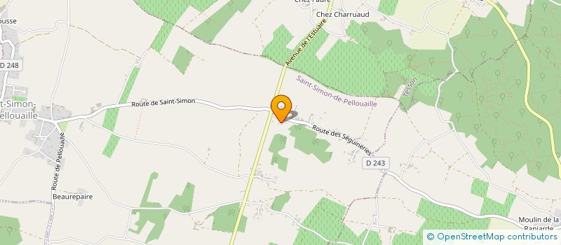 localisation de l'entreprise MONSIEUR MICKAEL ANTUNES  SAINT-SIMON-DE-PELLOUAILLE