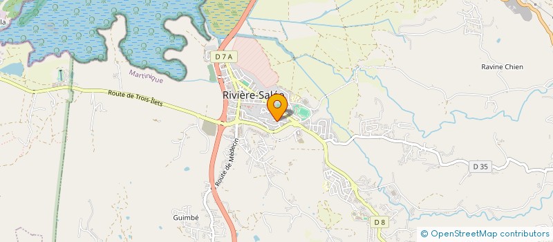 localisation de l'entreprise MONSIEUR MICKAEL AUSTER à RIVIERE-SALEE