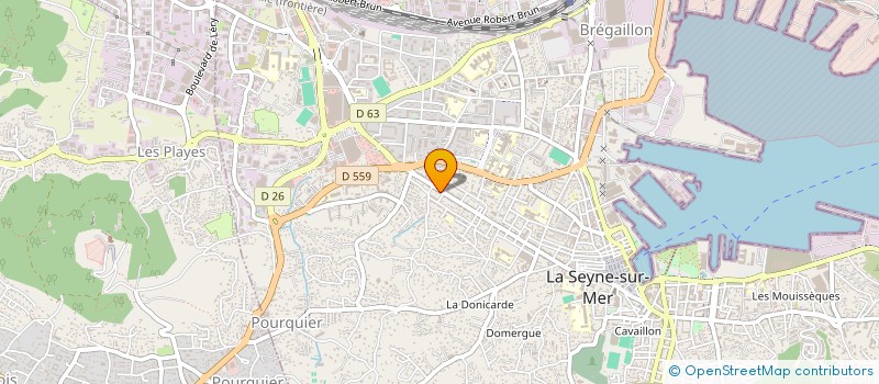 localisation de l'entreprise MONSIEUR MICKAEL BALDINI à LA SEYNE-SUR-MER