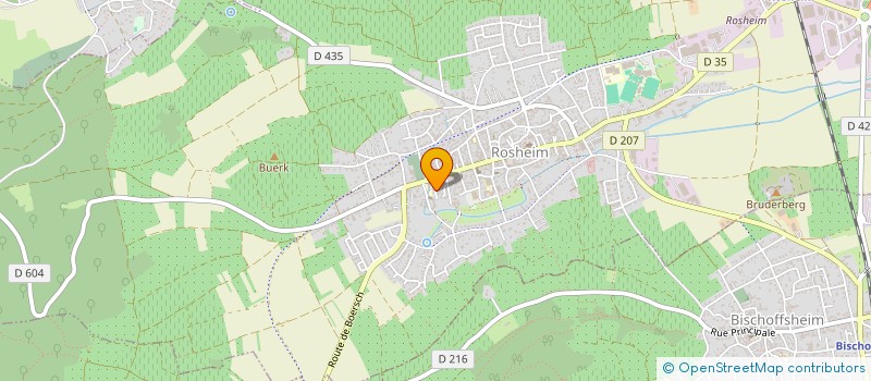 localisation de l'entreprise MONSIEUR MICKAEL BARBIER à ROSHEIM